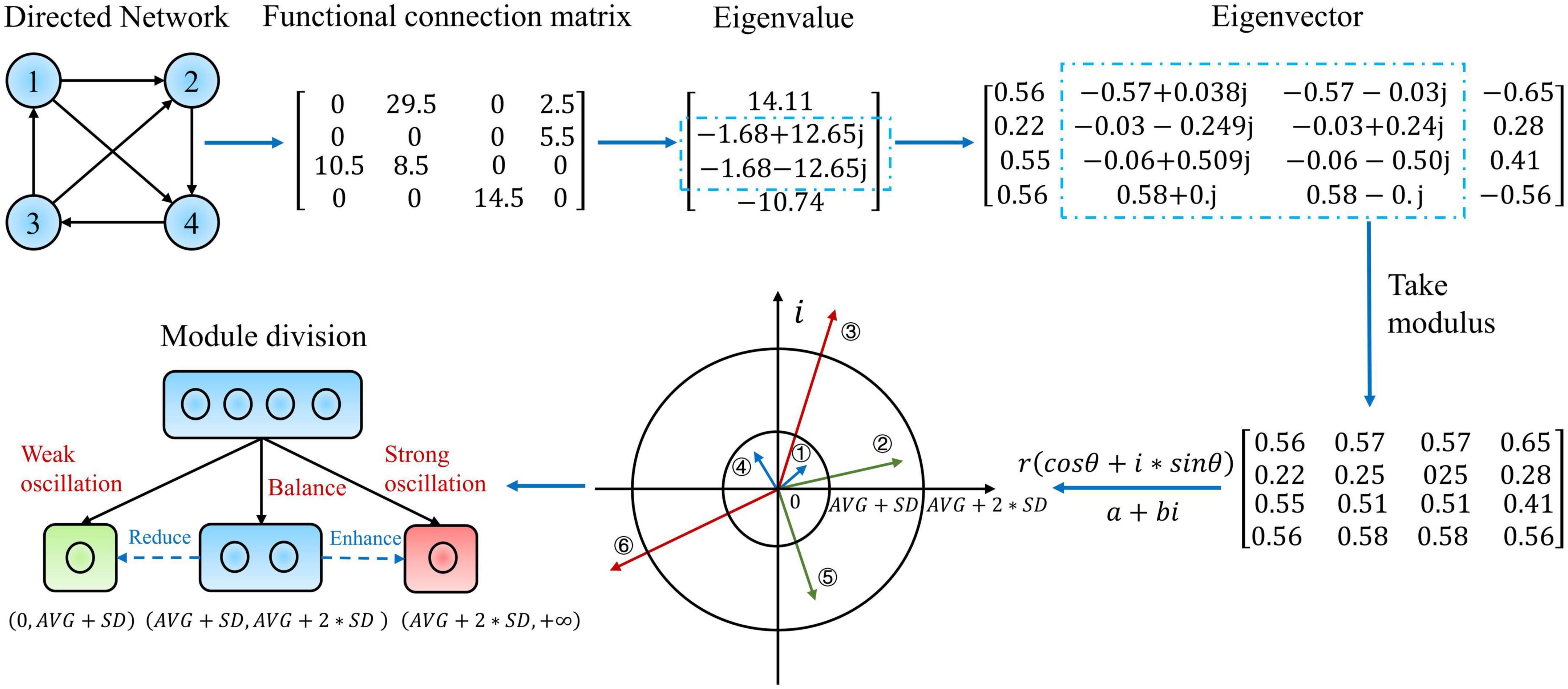 Putative cause of seizure-induced cognitive alterations: The oscillatory reconfiguration of seizure network